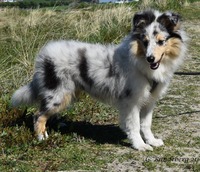 4 måneder / 4 months
