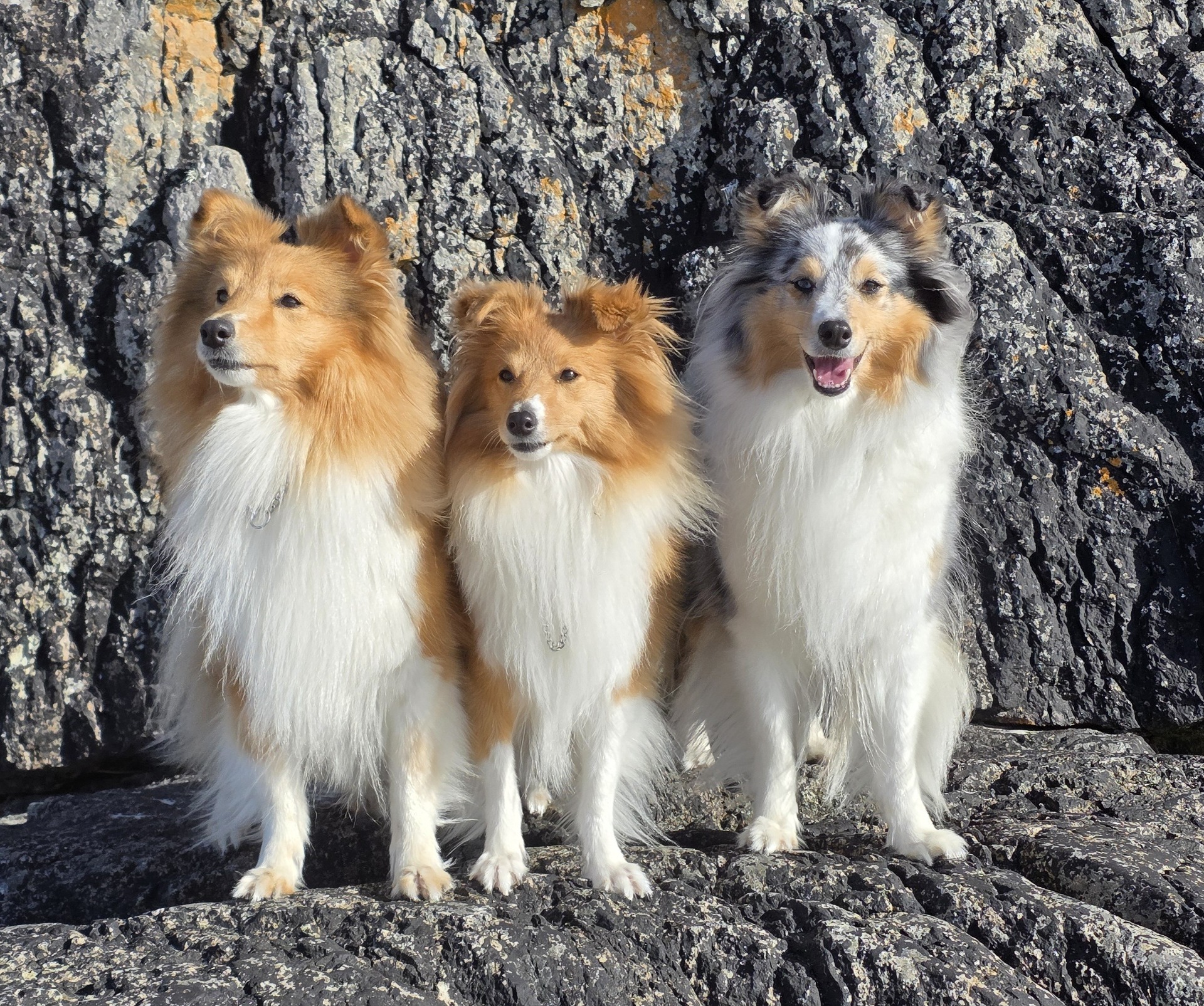Living with us: Enya, Lima and Gunnsita