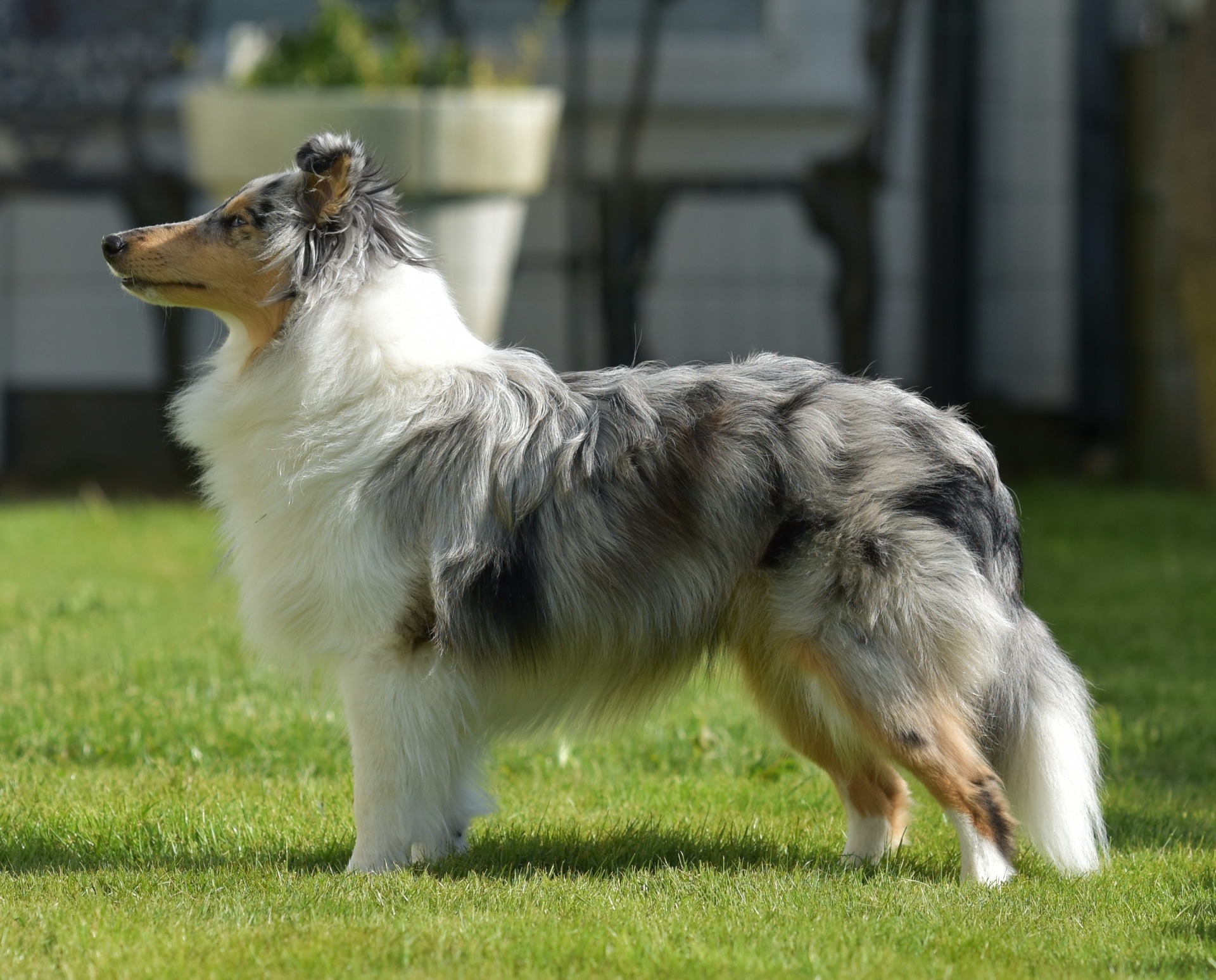 Niña 8 måneder